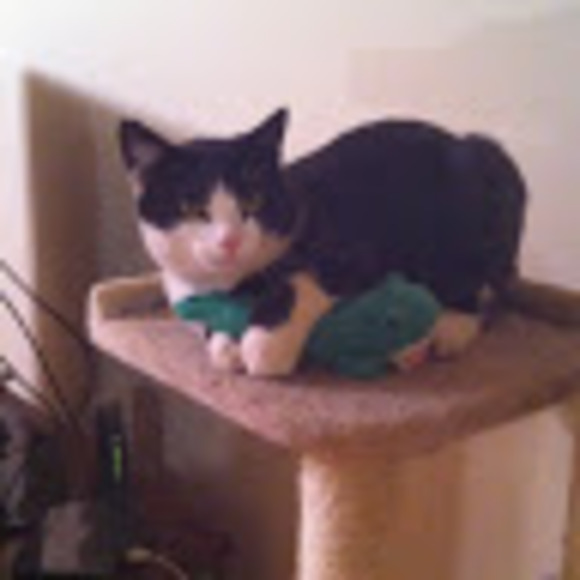 Meet your Posher, James - Picture 1 of 1